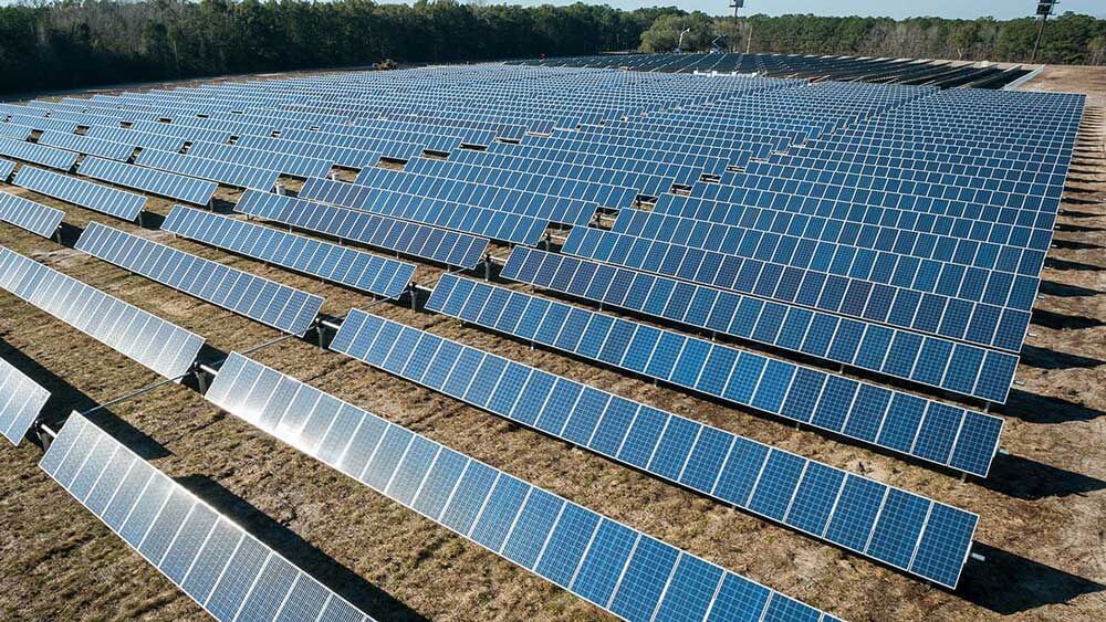 Vast field of solar panels arranged in rows, under a clear blue sky. The panels extend into the distance, surrounded by trees, conveying a sense of sustainability.